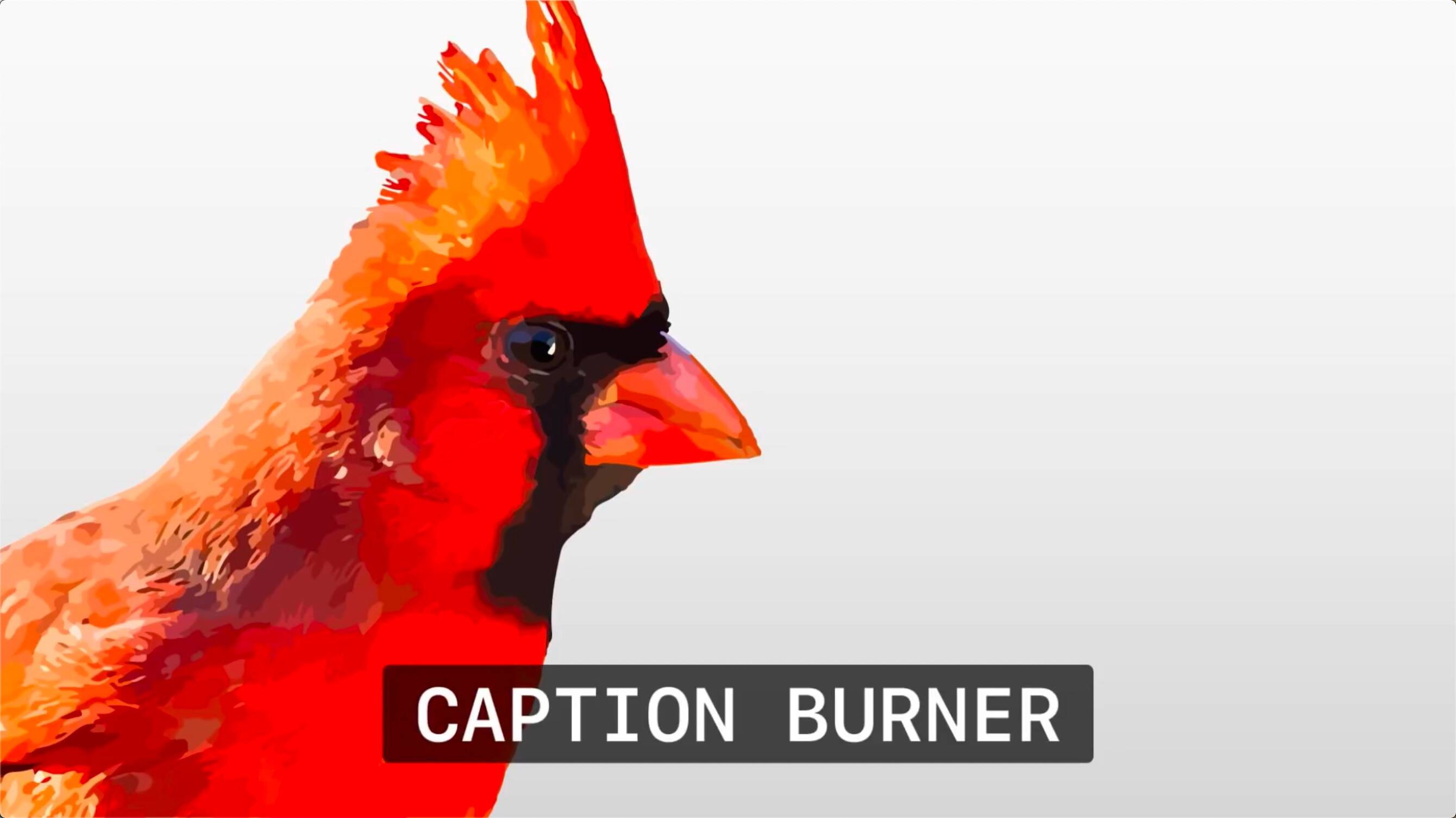 FCPX插件:录制标题字幕插件 Caption Burner