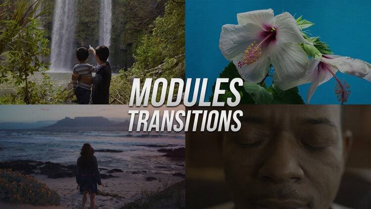 Modules Transitions(19个炫酷pr转场)