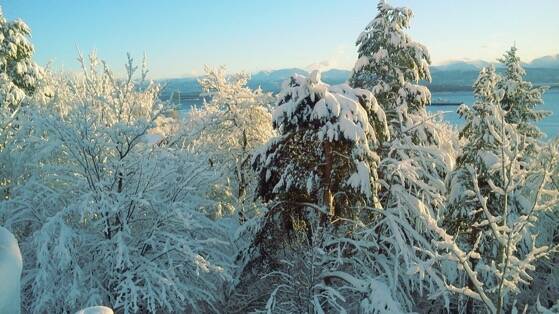 唯美冬天雪景动态壁纸