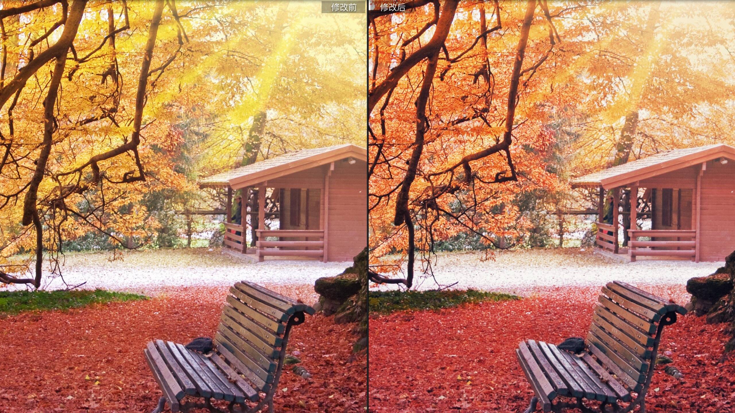 秋天风景照片色彩增强lr预设