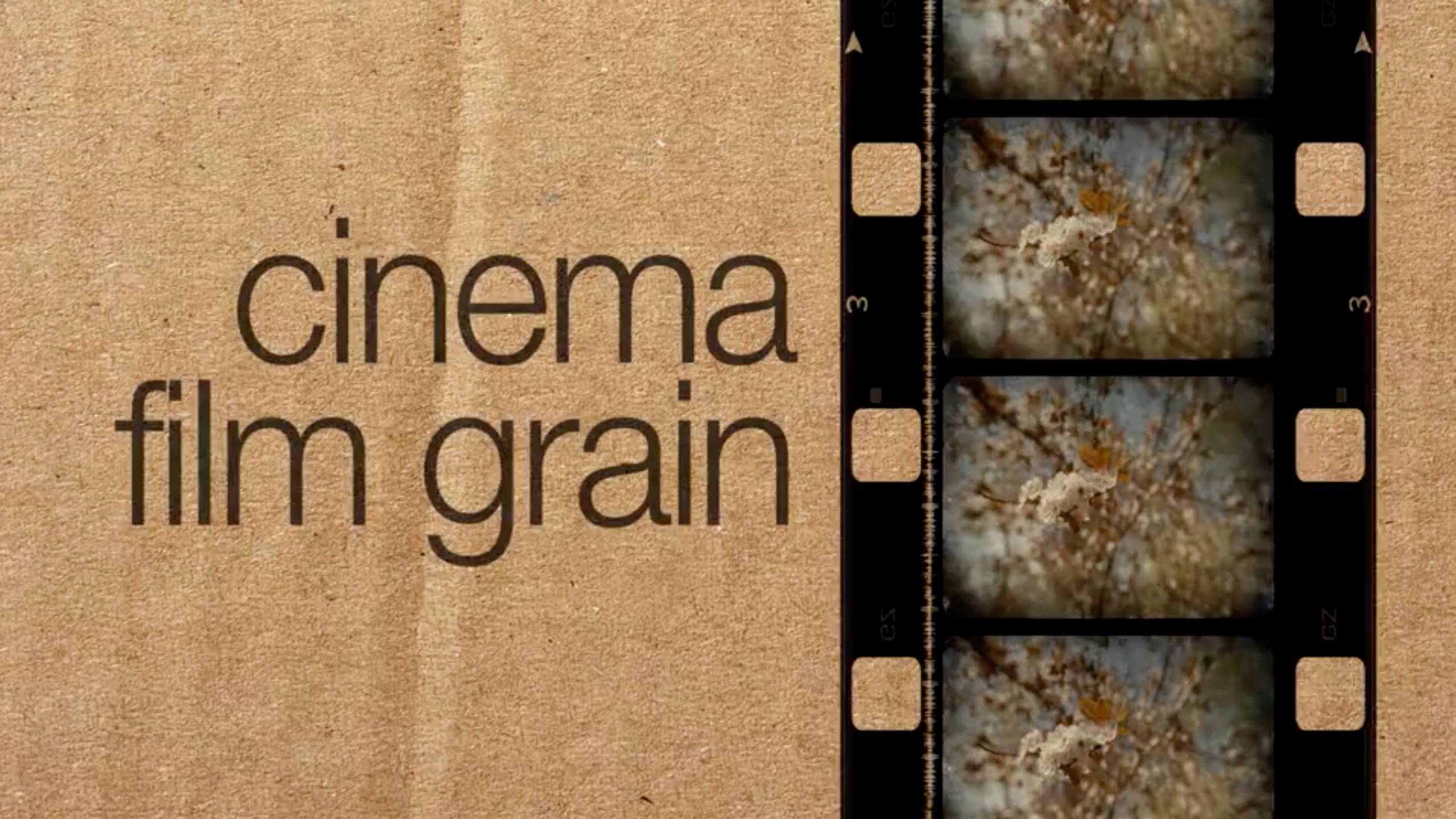fcpx插件:Cinema Film Grain 电影胶片颗粒