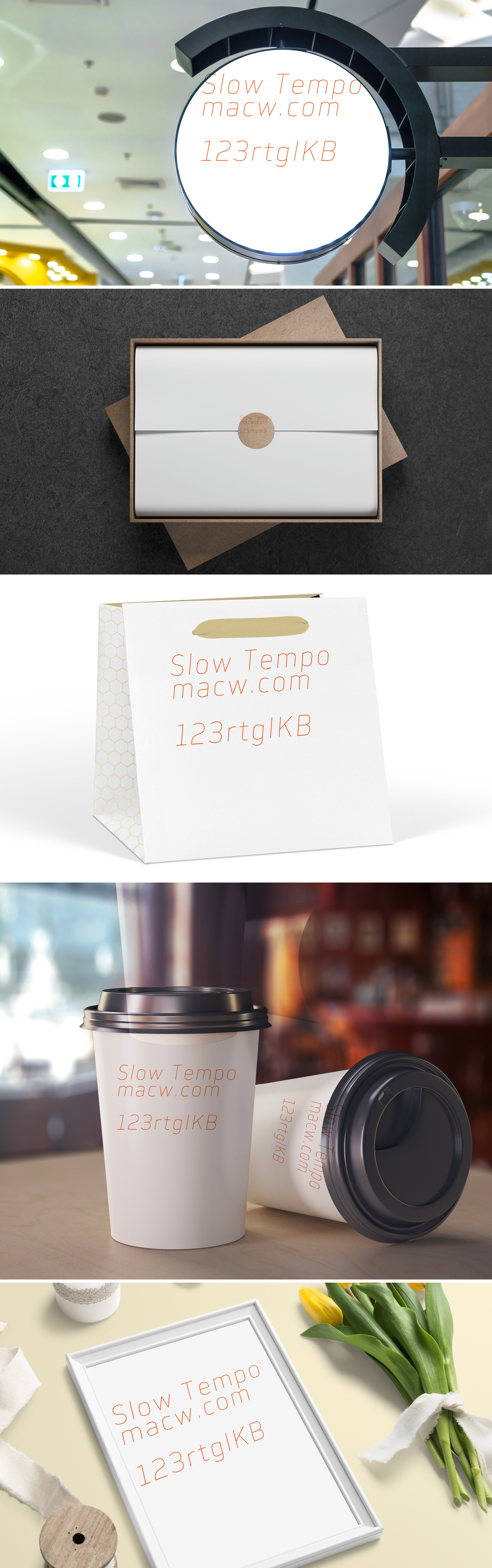 Slow Tempo现代无衬英文字体包