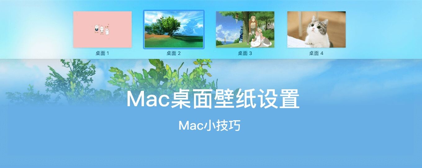 【Mac新手必看】Desktop Picture壁纸文件夹找不到怎么办？苹果壁纸设置教程