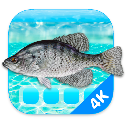 Aquarium 4K for Mac(4K高清屏幕保护工具)