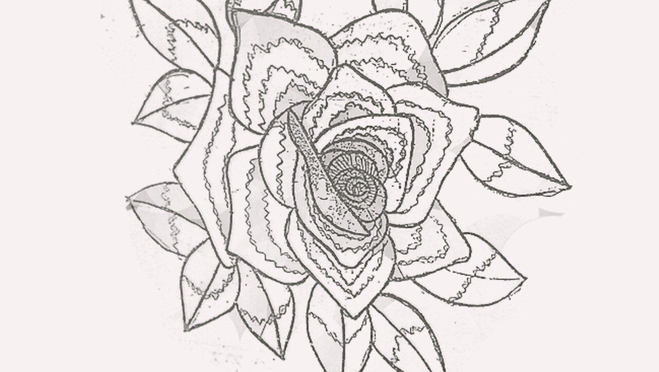 漂亮的玫瑰花涂鸦PS笔刷