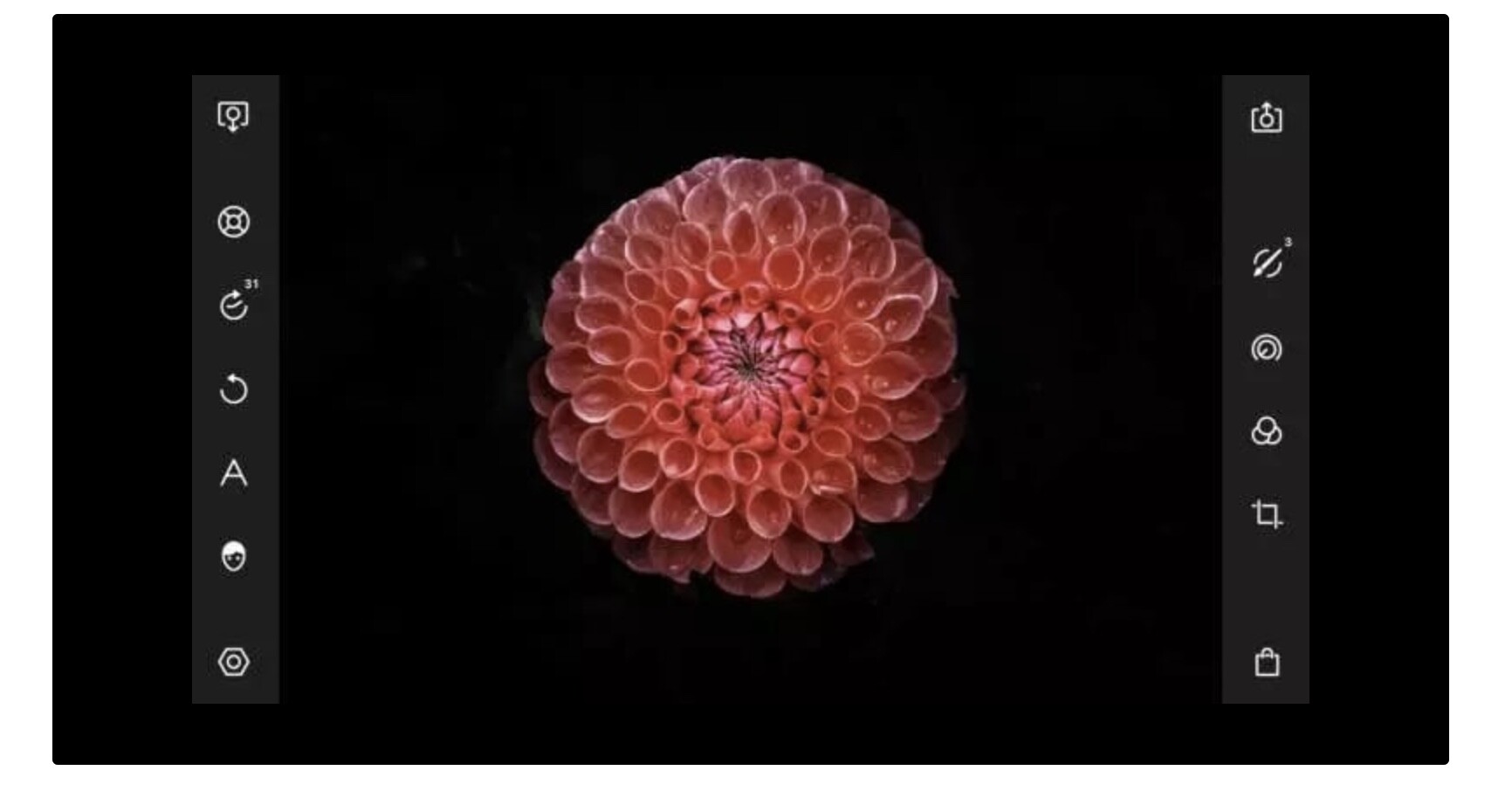Polarr Photo教程：如何打造暗调花卉效果？