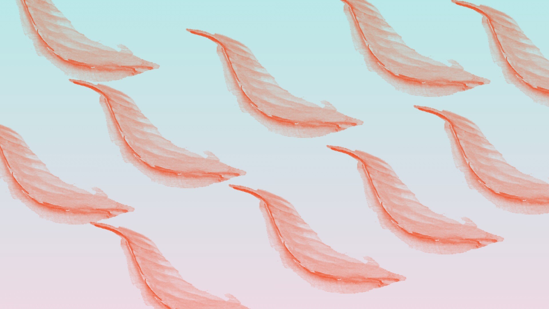 水彩效果的羽毛图案PS笔刷