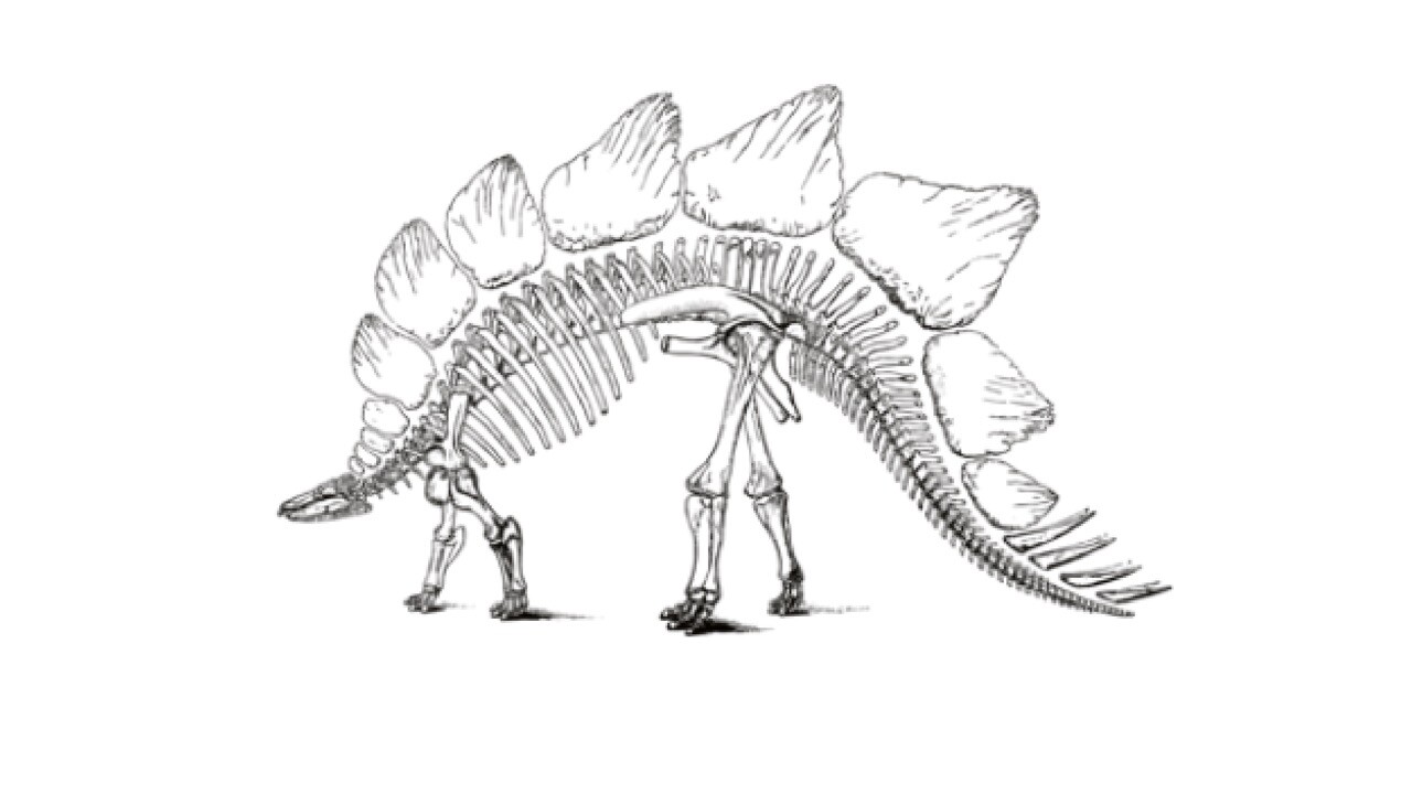 手绘侏罗纪恐龙骨骼图案PS笔刷