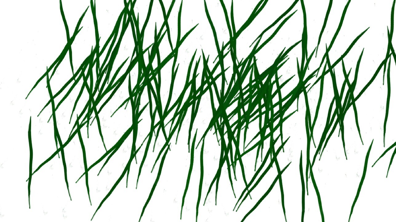 高级青草、草丛、草坪PS笔刷
