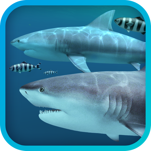 Sharks 3D for Mac(3D海底鲨鱼动态壁纸)