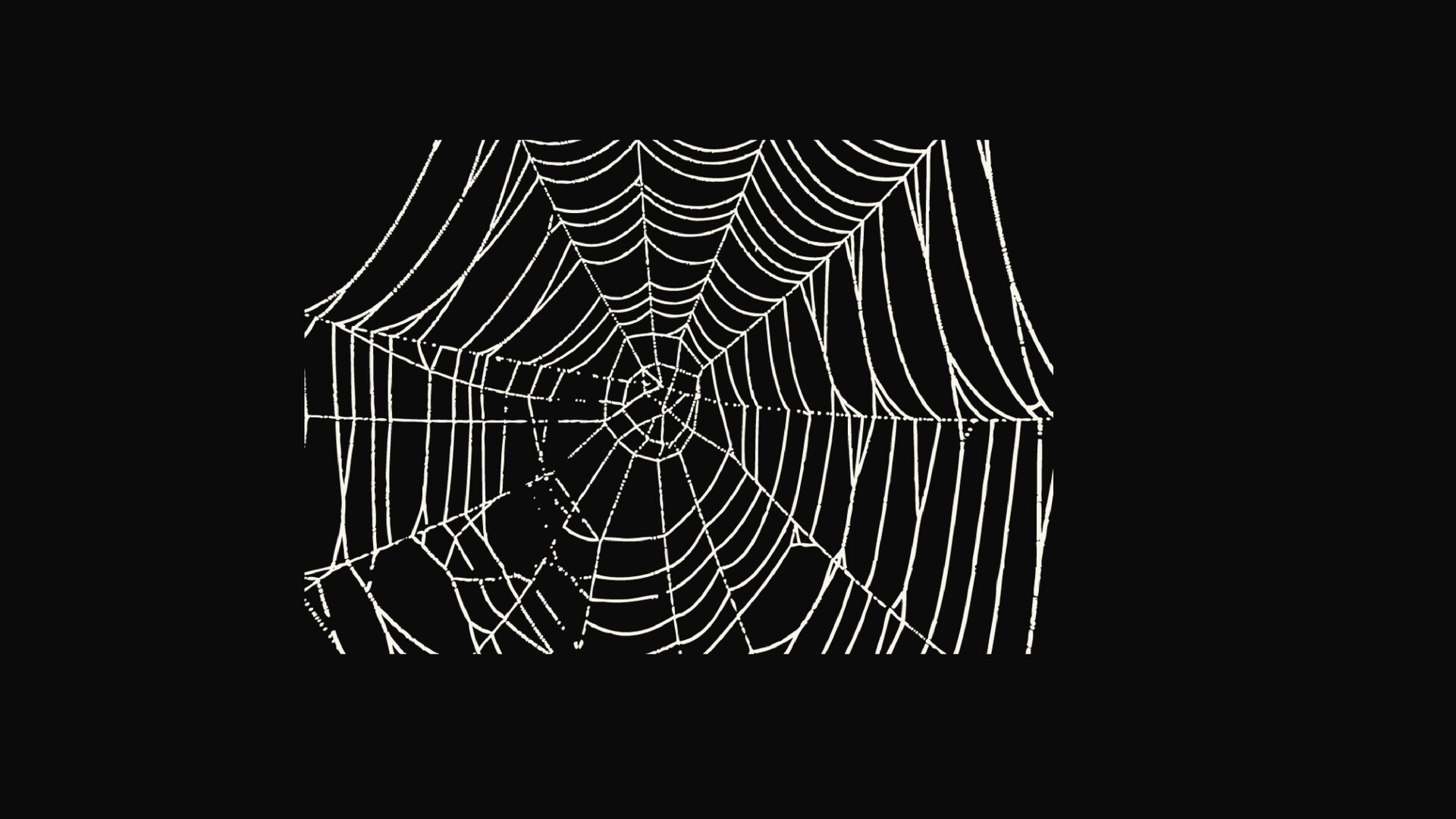10种蜘蛛网ps笔刷