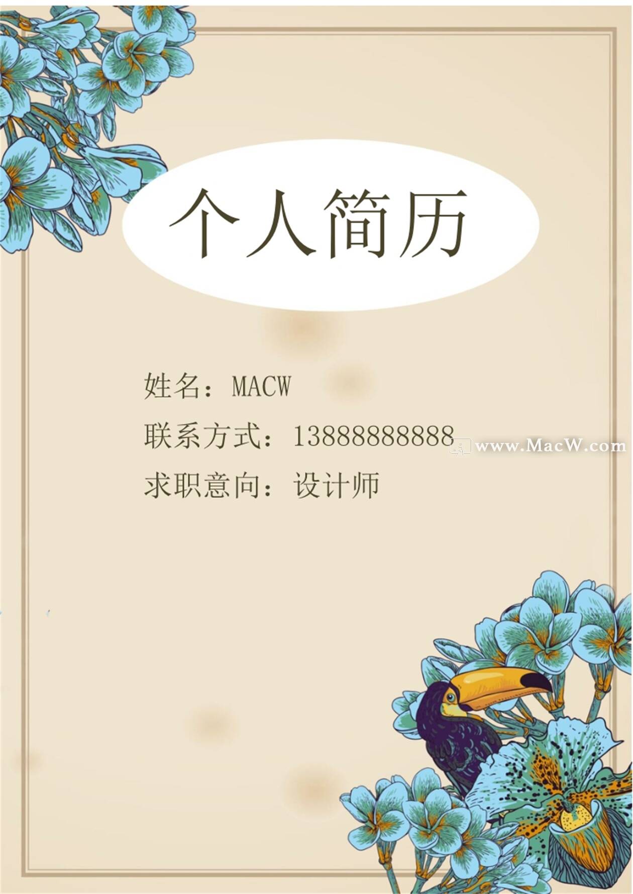 精美的设计师美工类岗位简历Word模板