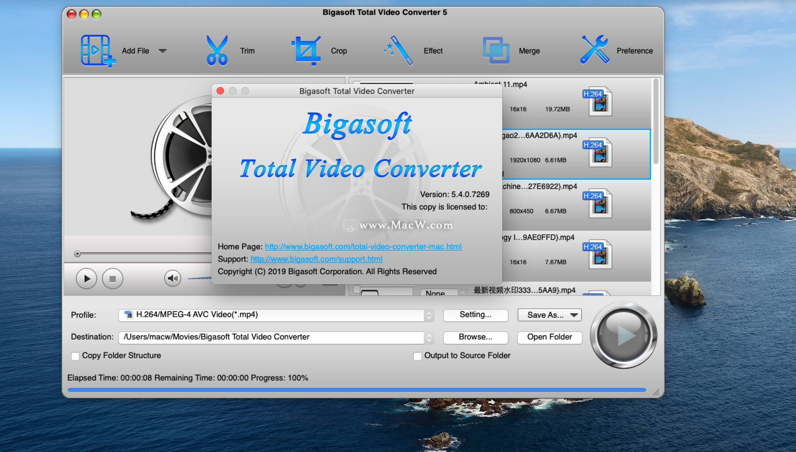 bigasoft converter mac torrent