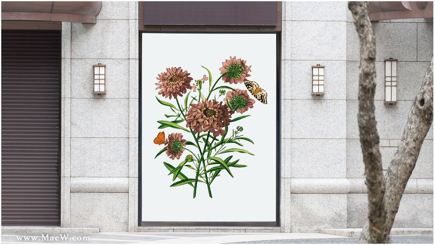 75款复古手绘植物花卉插画PNG免抠图素材