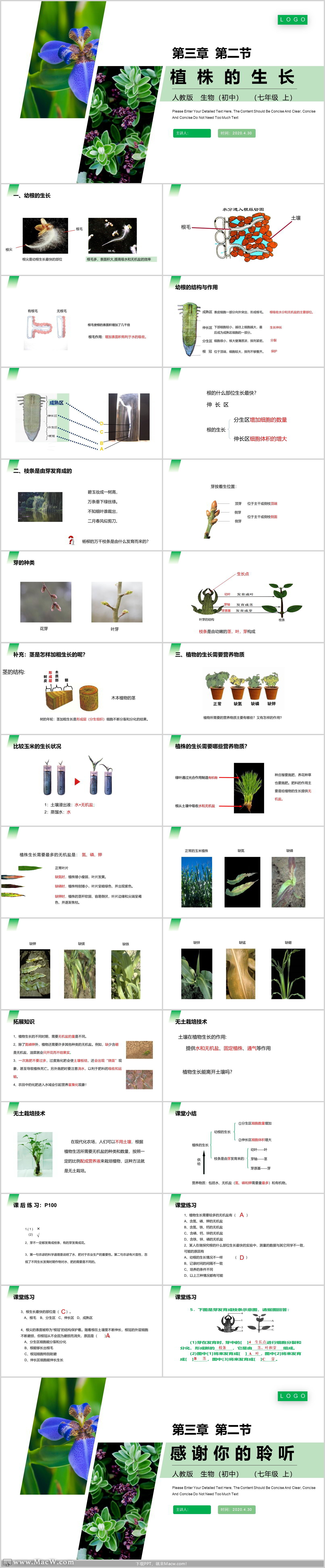 人教版初中生物《植株的生长》PPT模板