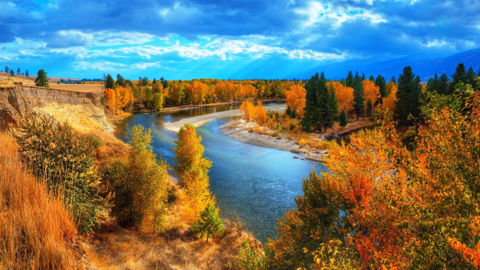 美丽的秋天森林风景主题壁纸