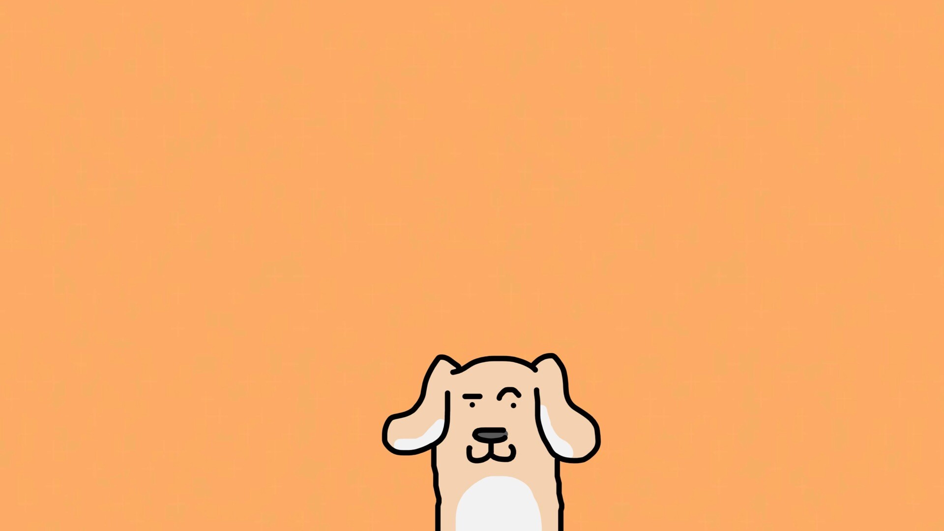 壁纸动物狗狗 - 动态图库网