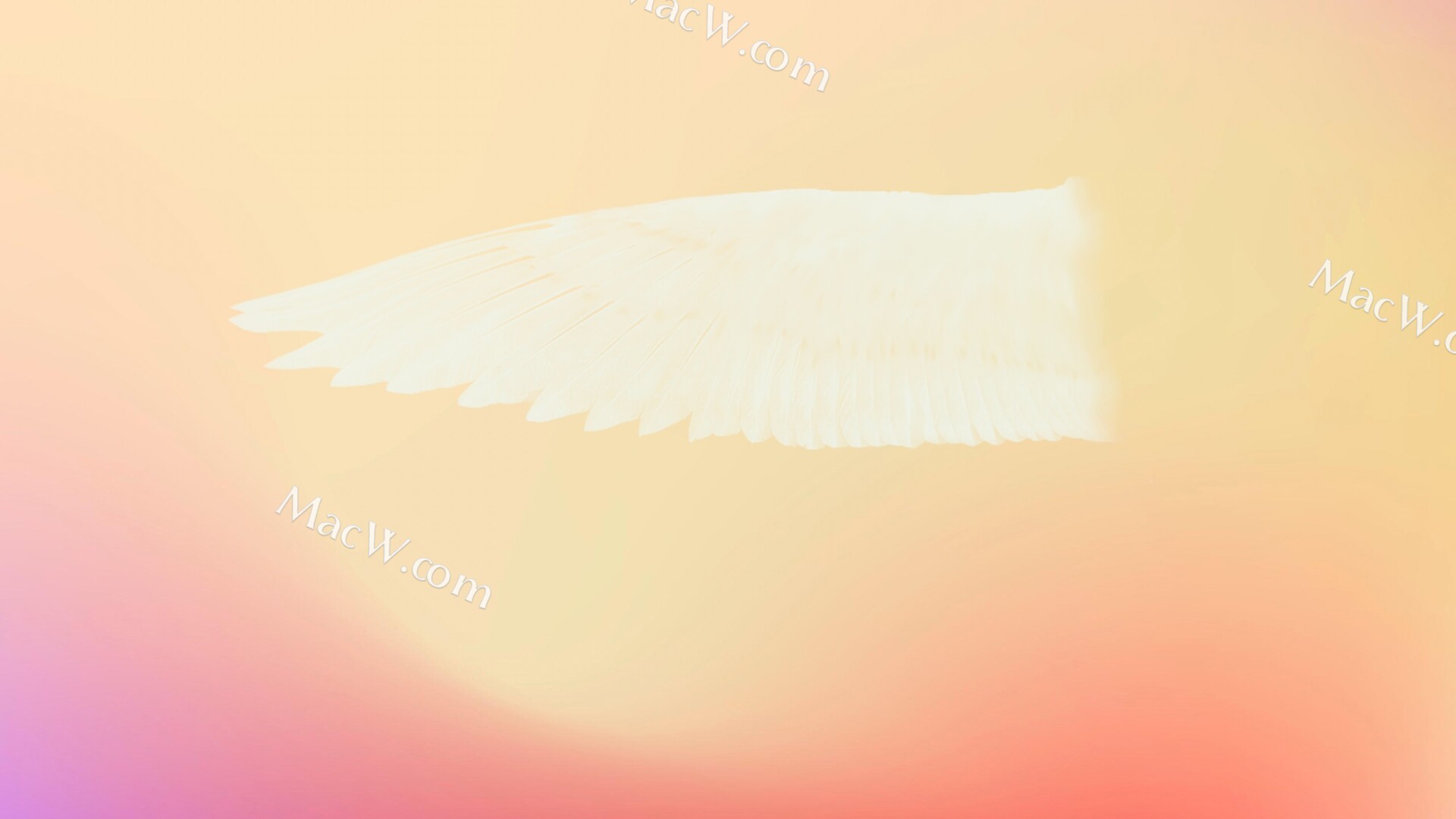 天使的翅膀PS笔刷